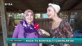 Ayseli Muhabbet    #CanlıYayın