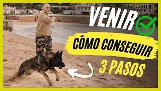 Qué hacer para que mi PERRO acuda SIEMPRE a mi LLAMADA / PASOS PRINCIPALES