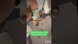Upshorts girl panties tiktok  - Subscribe for more