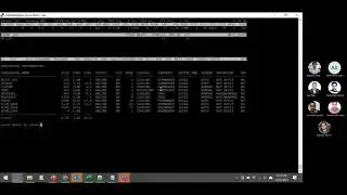 How to do real time monitoring of Oracle database using oratop utility