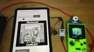 Saving Nintendo GameBoy Camera Pictures using the GameBoy WiFi Printer Photo Saver