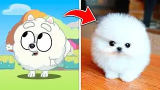 Bluey Characters That Exist in Real Life (2023)