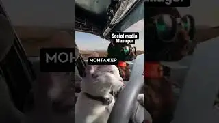 В комментах только блогеры