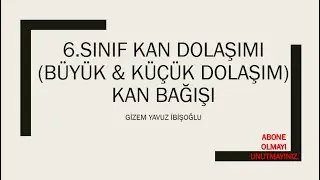 6.SINIF KAN DOLAŞIMI(BÜYÜK&KÜÇÜK DOLAŞIM) VE KAN BAĞIŞI