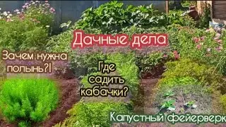 Дачные дела. Часть 1