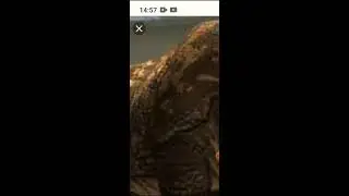 Бронтотерий