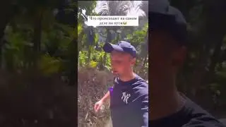 😅жиза