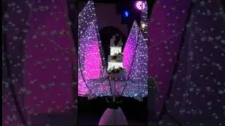 Подача торта в цветке лотоса