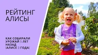РЕЙТИНГ АЛИСЫ. Как собирали урожай 5 лет назад (Алисе 3 года)