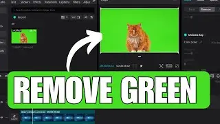 How To Remove Green Screen in CapCut PC