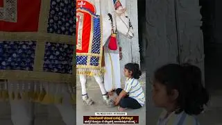 ಶ್ರದ್ದೆ ಭಕ್ತಿಯಿಂದ ಬಸಪ್ಪನ ಬಳಿ ಪಾದ ಕೇಳಿದ ಬಾಲಕಿ | vijaya kali pavada basappa miracle