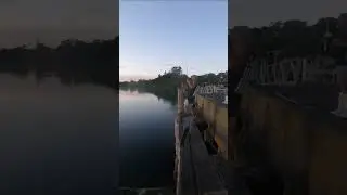 #houhora