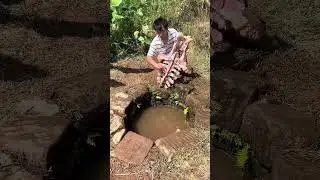 Мужчина нашёл большую черепаху в пруду 