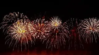 Dog Owners Advice For Bonfire Night