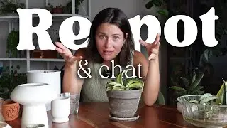 Repot and chat with me - repotting my sanseveria & plant nutrition routine!