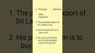 Principle and principal