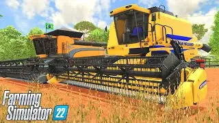 A MELHOR DUPLA EM AÇÃO?? || CAMPINA DAS MISSÕES || FARMING SIMULATOR 22 || #58 G29