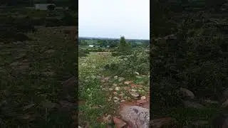 sukoon / Mera gav  #nature #raining #rain #barish #sawan #mera #villagelife #village #sukoon #short