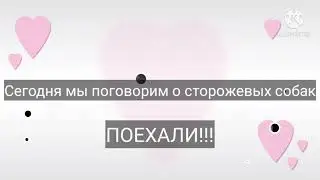 Сторожевые Собаки!!!☺️👍