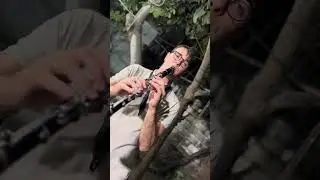 Ekrem Destan & Barış Yazıcıer - Meyan