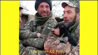 War in Ukraine: Behind The Headlines - Tik Tok Compilation Part 2