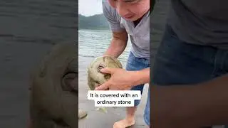 a pregnant stone