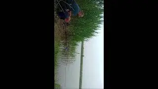 Georgii Revazovich в прямом эфире!