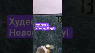 Худеем к Новому Году! 💪😀