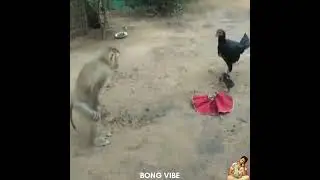 Help Me !  Help Me !