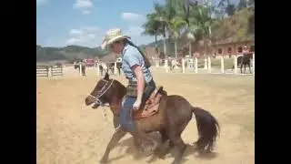 Directing the pony at will