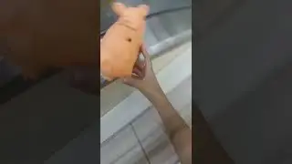 17 июля 2024 г.
