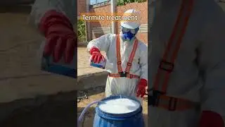 #like #animals #dog #pestcontrol #termitetreatment