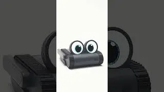 Doly Robot: The Ultimate Personal Companion 