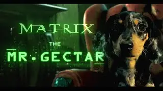THE MATRIX Mr. Hectar (Morpheus)