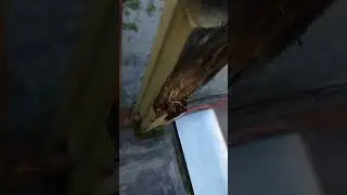 заброшенная площадка часть 2