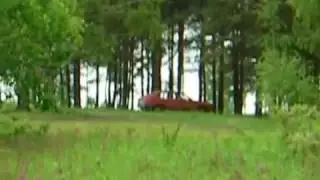 Звуки леса.
