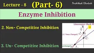 Lect-8(P-6) | Enzyme inhibition | Non-Competitive Inhibition | Un-Competitive Inhibition | km & Vmax