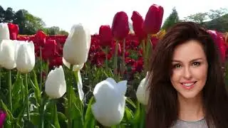 Буду любить тебя милая  - Вячеслав Анисимов