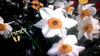 Мой обычный денёк) ♡★