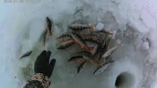 Рыбалка на Чанах Банникова 06 12 2021