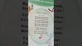 mon oiseau s'est envolé