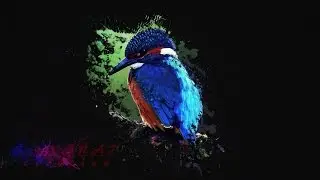 Photoshop CS 6 Tutorial, How to use splash ink brush in Photoshop CS 6 Brush Effect Bird