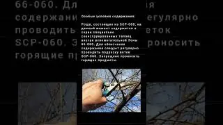 SCP-060 - Инфернальный оккультный скелет
