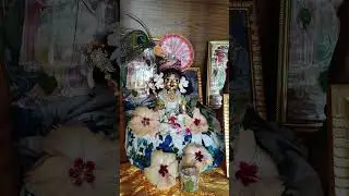 amar gopal sona ra #laddu #bengali #shreekrishna #shortsvideo