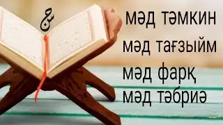 Мәд тәмкин, мәд тағзыйм, мәд фарқ және мәд тәбриә