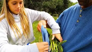 MOREL MUSHROOM HUNTING and WILD ASPARAGUS Back in Michigan!