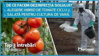 Dezinfecția Solului | Alegere Hibrid Tomate Ciclul 2 | Salata Pentru Cultura de Vară - Top 3 - Ep.51