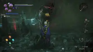 In Search of the Elixir