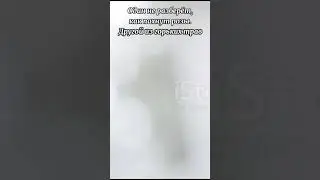 Жизнь