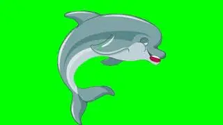 Dolphin green screen|| Editor G